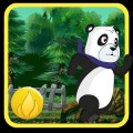 熊猫逃跑探险