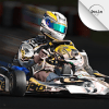 Kart Racing Ultimate Free