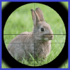 兔子猎人3D加速器