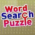 Word搜索拼图加速器