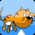 猫鱼大作战