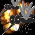mosquito BOOM加速器