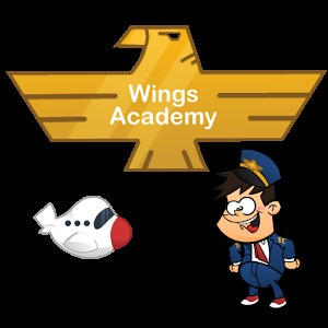 Wings Academy加速器