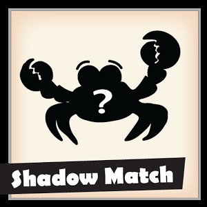 Shadow Match加速器