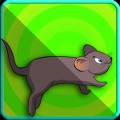 Rat Jungle Run