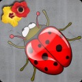 Hit The Bug