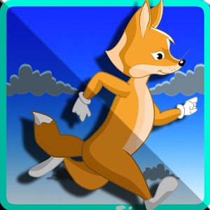 Fox Run加速器