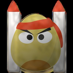 Rocket Bird加速器