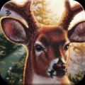 DEER SEASON HUNTING 2014