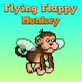 Flying Flappy Monkey