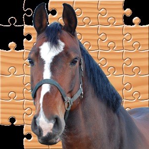 Puzzle Horses加速器