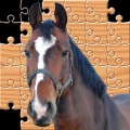 Puzzle Horses