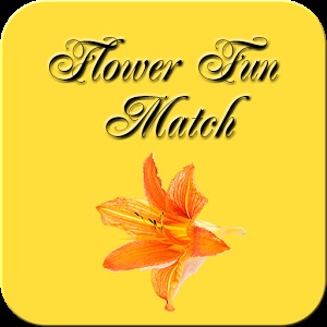 Flower Fun Match加速器