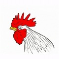 Chicken Punch