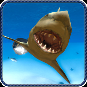 愤怒的鲨鱼3D加速器