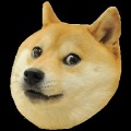 Doge Chase加速器