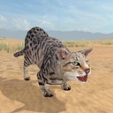 3D野猫传奇加速器