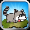 Raccoon running