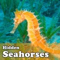 Hidden Object Games-Seahorses加速器