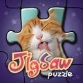 Art Jigsaw Puzzle加速器