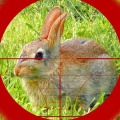 狙击手猎兔3D