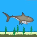 Explody Shark