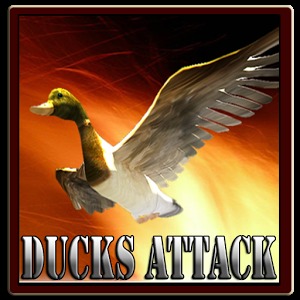 DucksAttack加速器