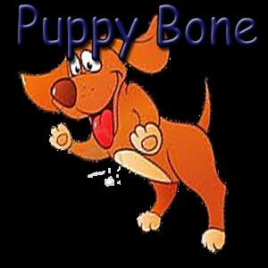 Puppy Bone加速器