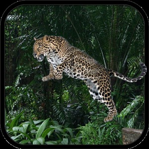 Wild Leopard Simulator 3D加速器