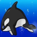 Save Whale加速器