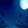 皎洁的夜里加速器