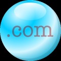 Top-Level Domain Names Quiz加速器