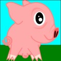 Little Pig Saga