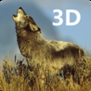 3D恶狼世界加速器