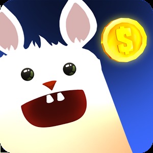 Bunny Money加速器