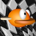 Bird Racer