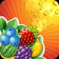 Fruit Splash - 水果飛濺