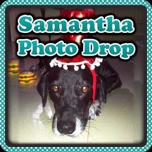 Samantha Photo Drop加速器