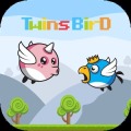 Twins Bird