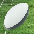 Rugby Kick