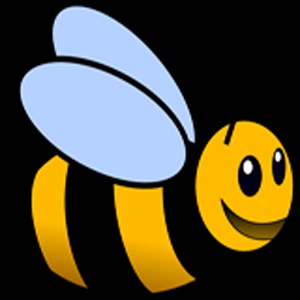 Bee Runner加速器