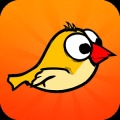 Amazing Bird Game加速器