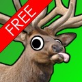 Elk Murder
