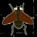 FlyTouch