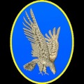 The falconry
