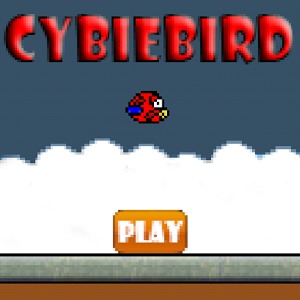 Cybies Bird加速器