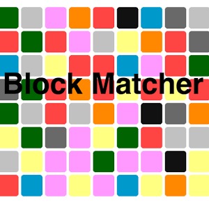 Block Matcher加速器