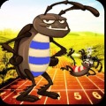 Roach Race