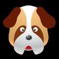 Shoesy Dog