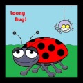 Loony Bug加速器